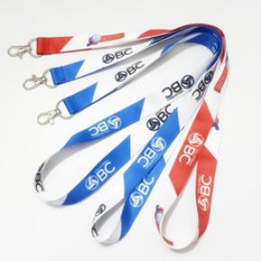 IW7001 Lanyard