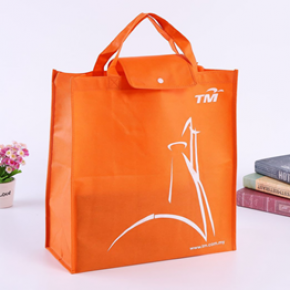 IW4005 Laminated non-woven bag