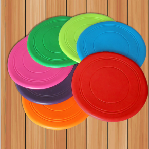 IW9500 Frisbee